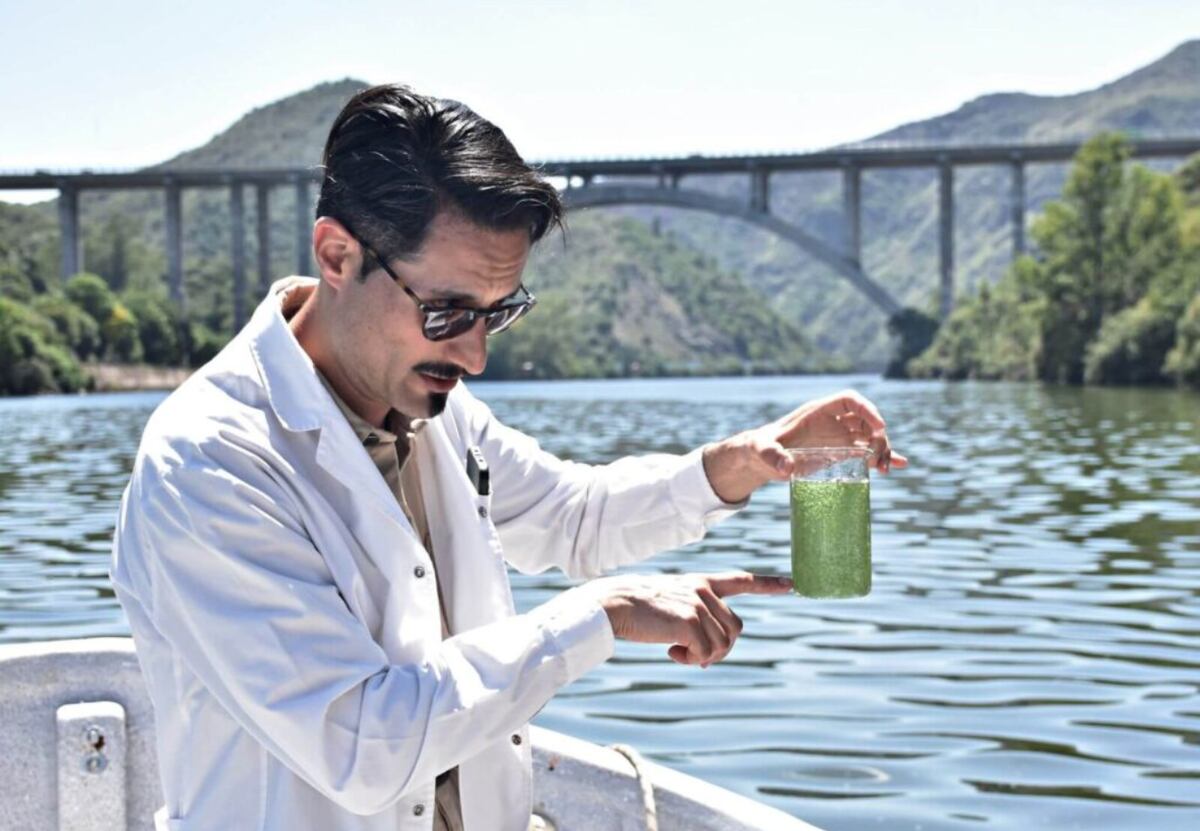 El arsénico en el agua exhibió una vieja problemática de contaminación en Córdoba thumbnail