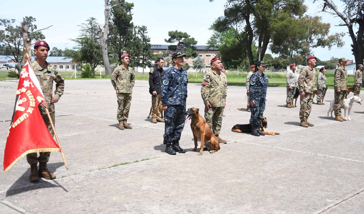 Homenaje a dos integrantes de la Agrupación Perros de Guerra que finalizaron su servicio activo thumbnail