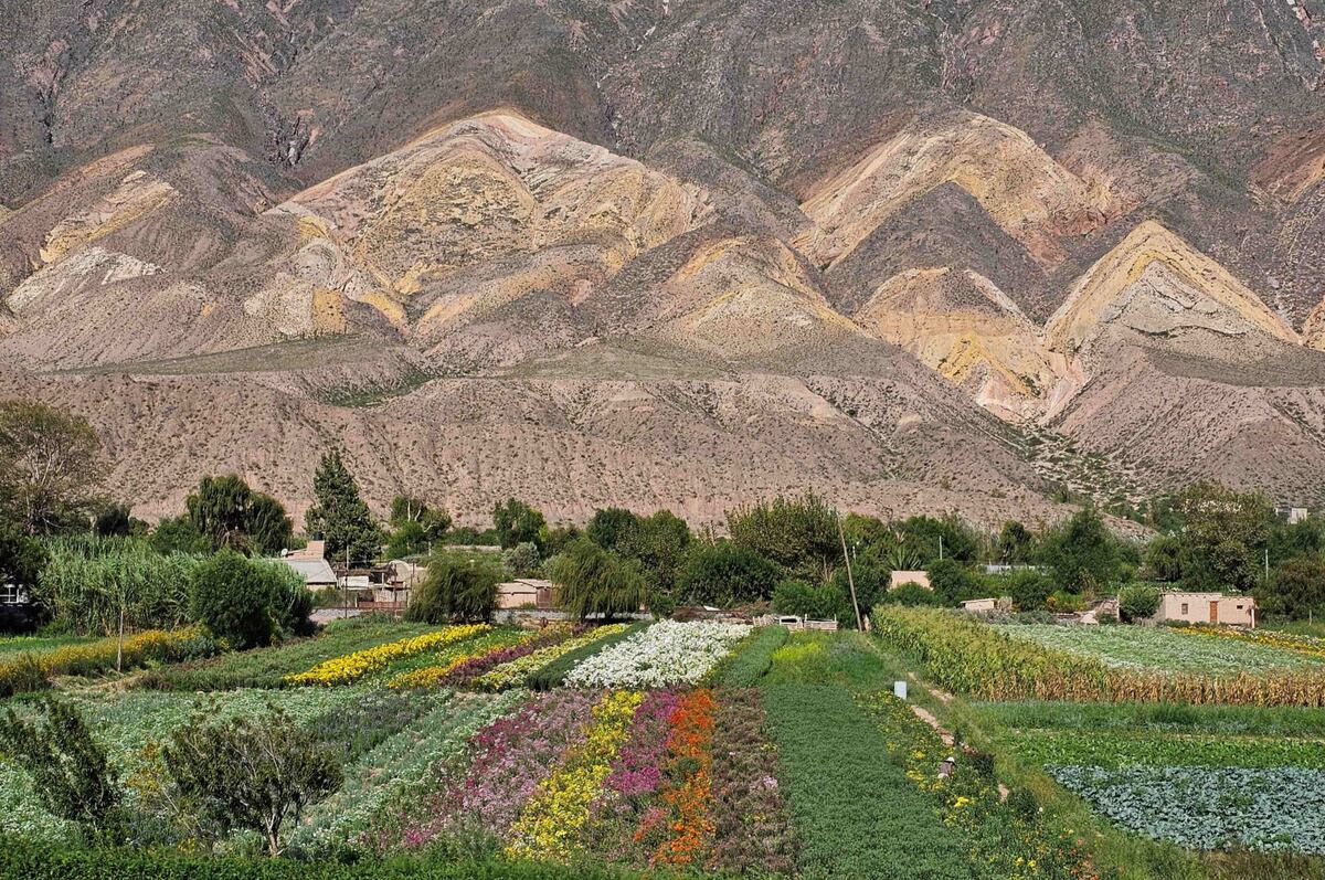 La Legislatura de Jujuy celebró el galardón mundial otorgado a Maimará por ONU Turismo thumbnail