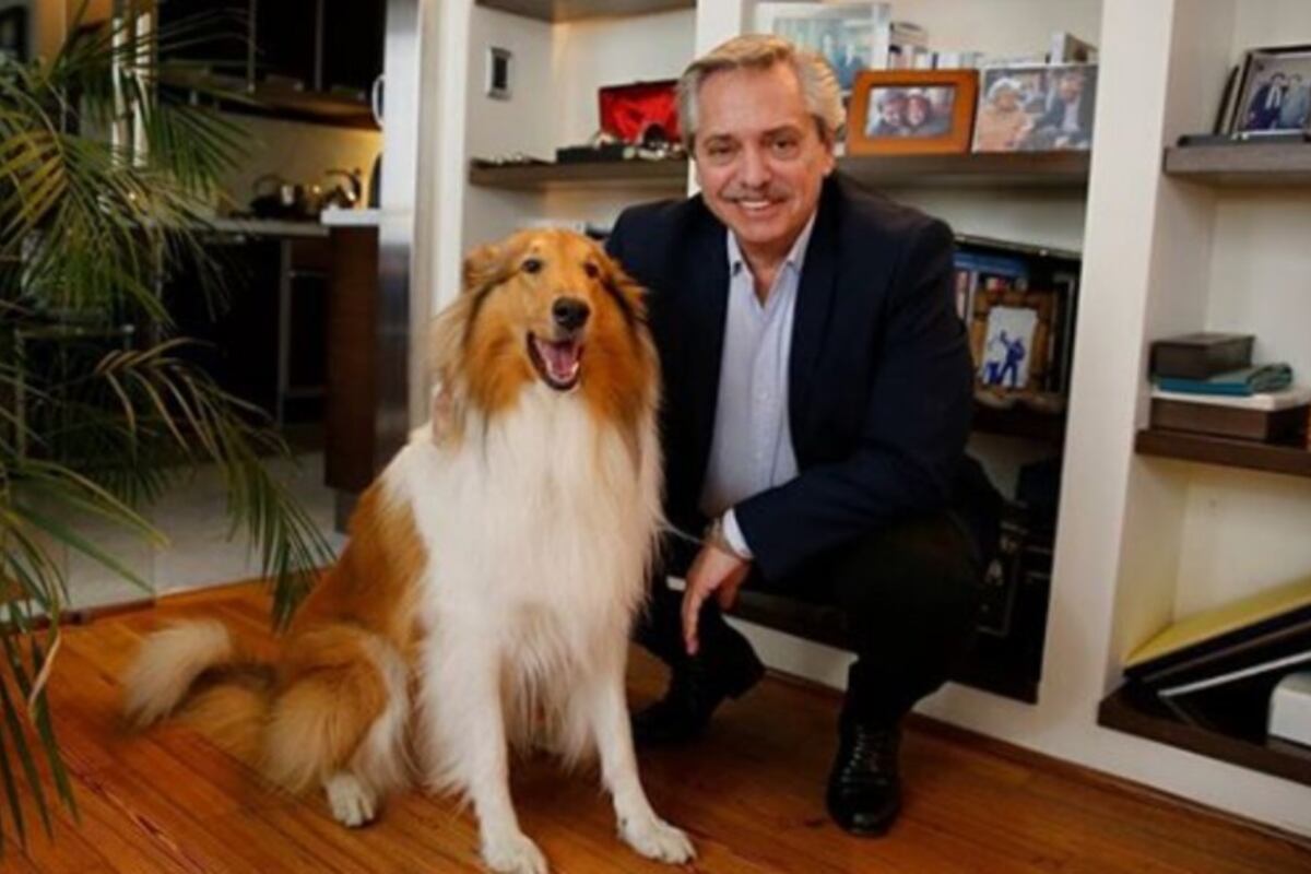 Murió Dylan, el perro de Alberto Fernández: Con mucho dolor, te despido thumbnail