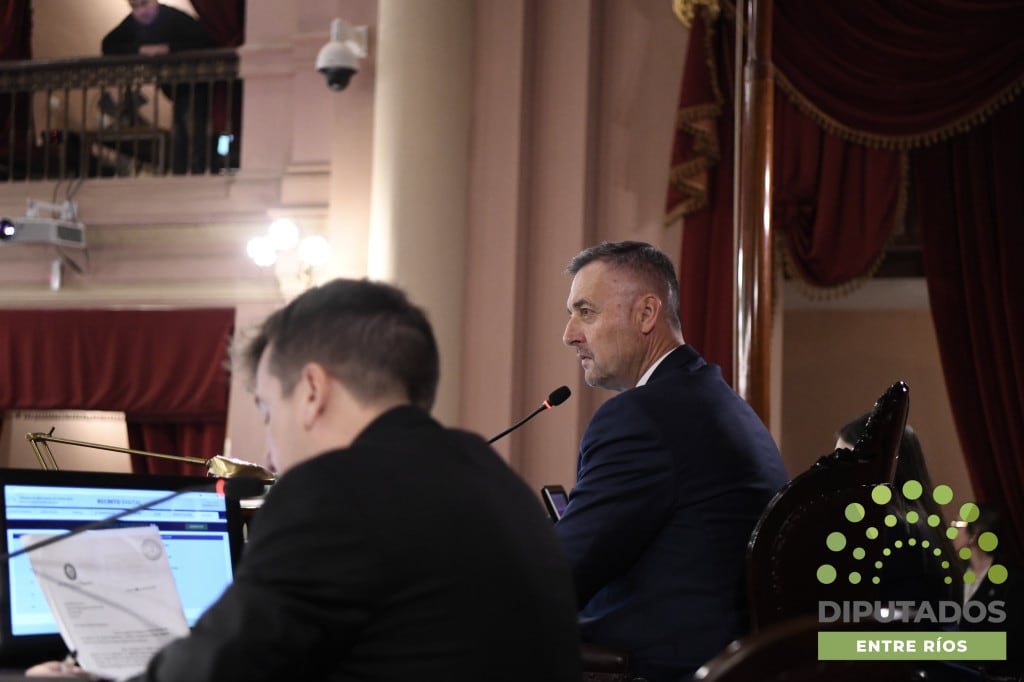 Diputados convirtió en ley la creación de la Obra Social de Entre Ríos (OSER) thumbnail