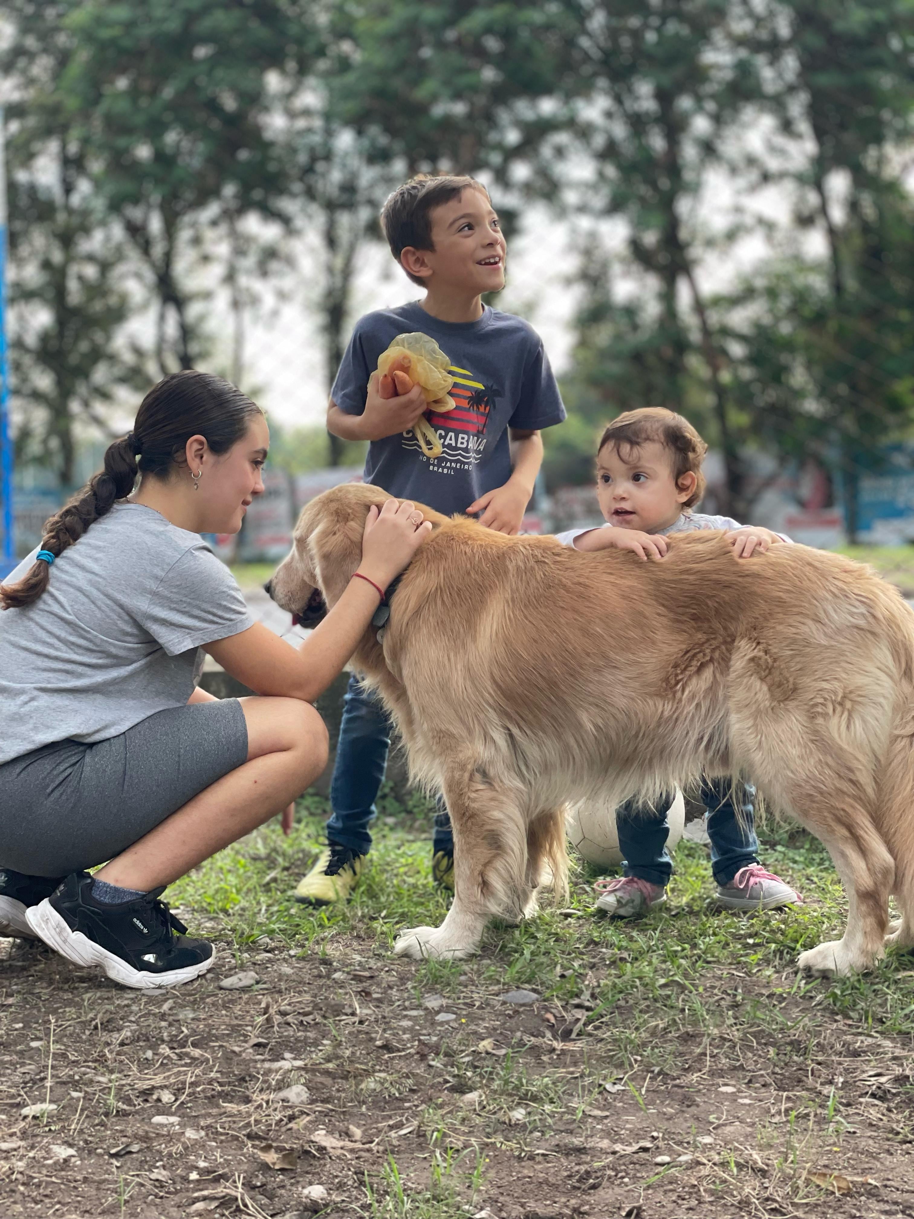 Día del Perro Guía: un compañero que transforma vidas thumbnail