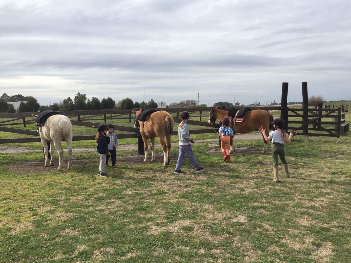 Tardecitas a caballo una propuesta para disfrutar en Tres Arroyos thumbnail