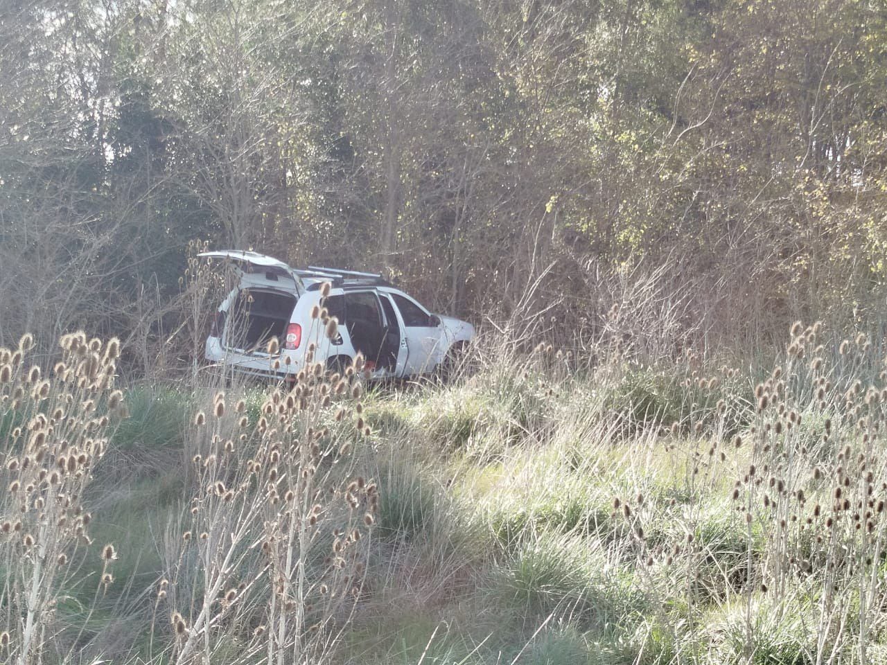 Horror en Tres Arroyos: se suicidó en la ruta 228 y hallan a pocos metros los cuerpos de dos menores thumbnail