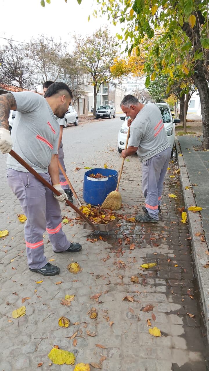 Operativo de limpieza urbana: intensifican tareas en distintos sectores de Rafaela thumbnail