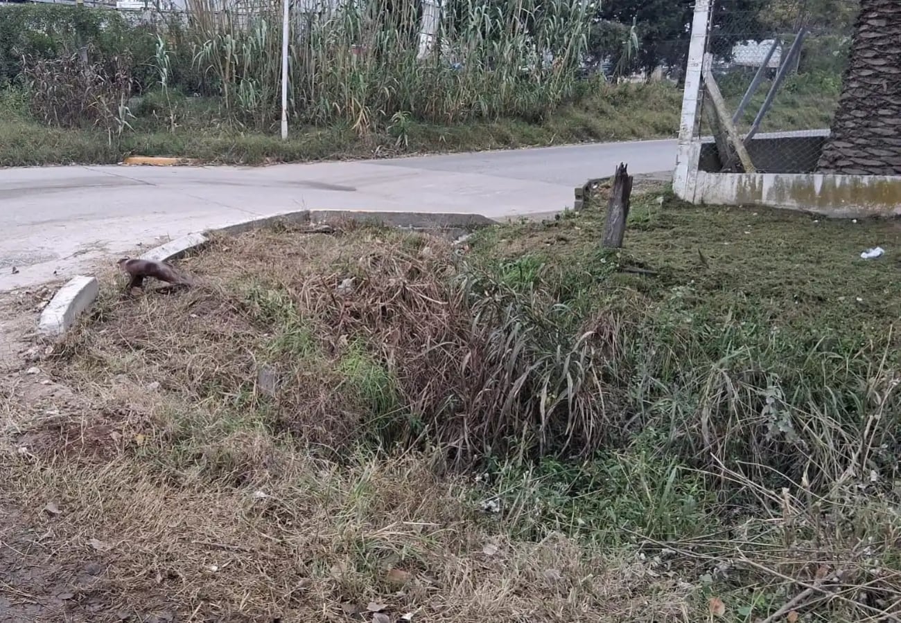 Córdoba: falleció una mujer que encontraron convaleciente en un desagüe thumbnail