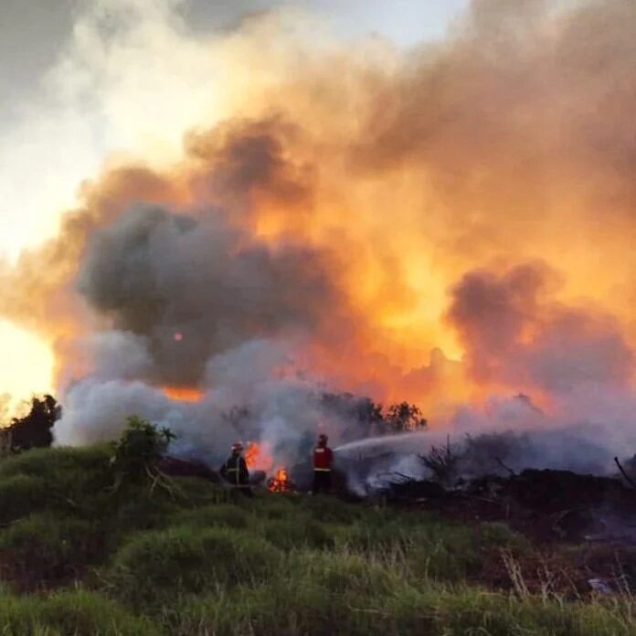 Misiones declaró la emergencia ígnea por 180 días thumbnail
