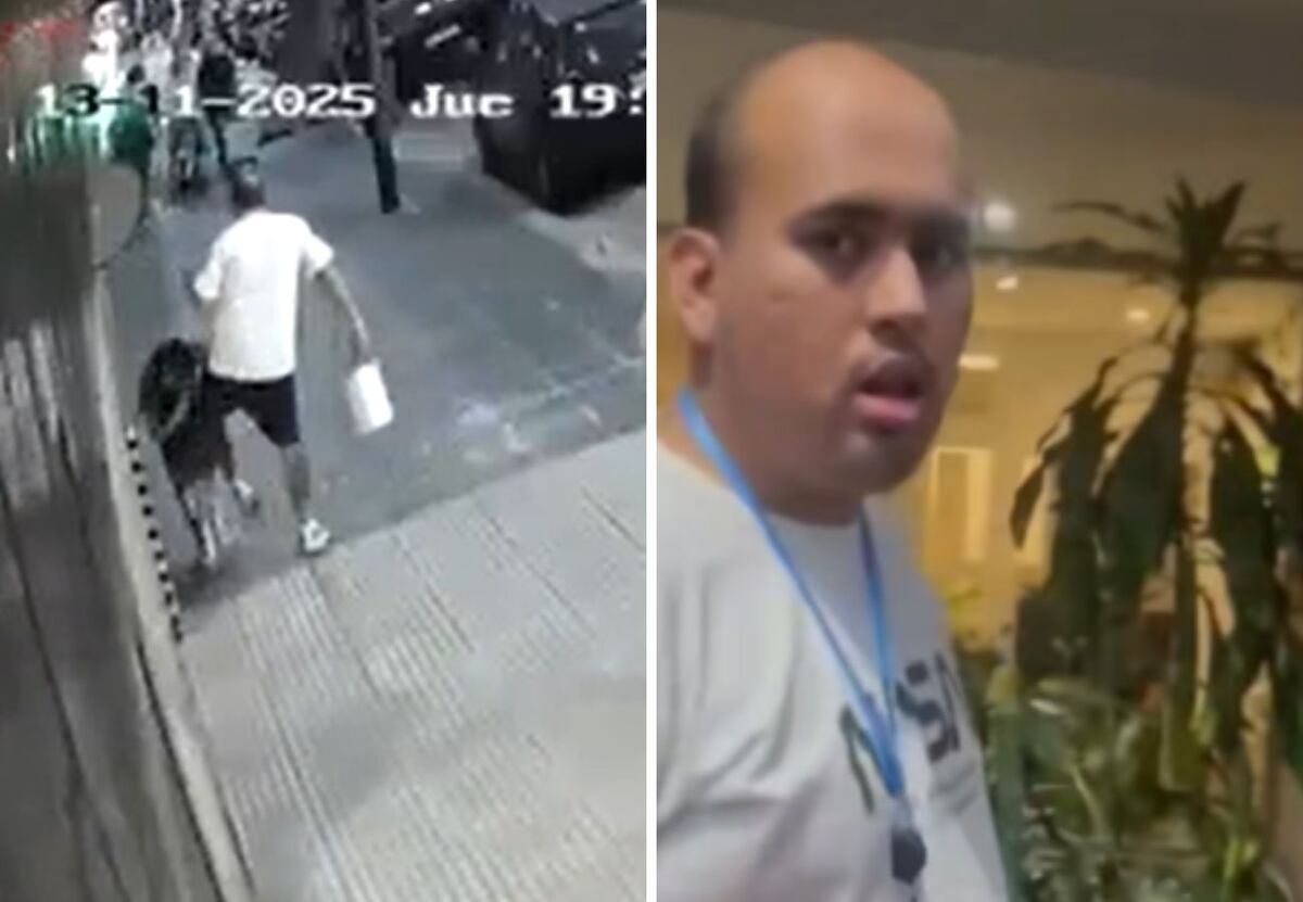 Un joven le pegó una brutal patada a una nena de 6 años en Palermo: no es la primera vez que ataca thumbnail
