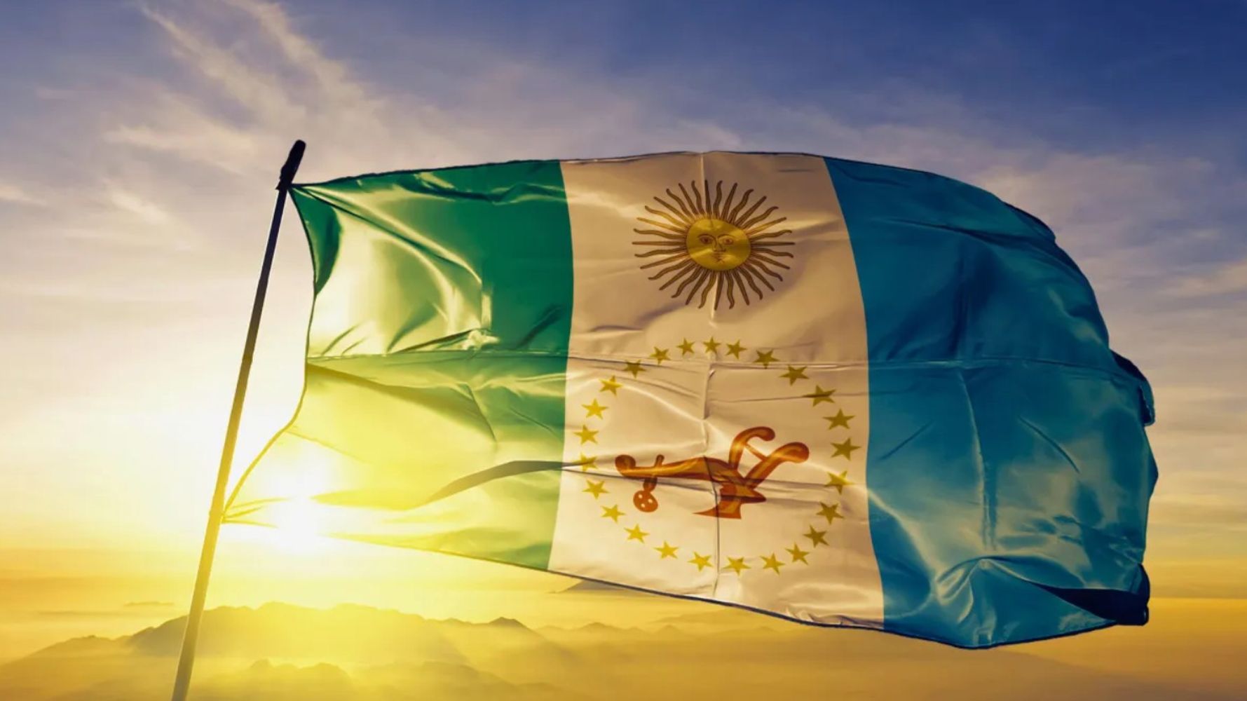 Los colores y elementos como el sol y el arado reflejan la riqueza natural, la historia y la identidad del territorio chaqueño.