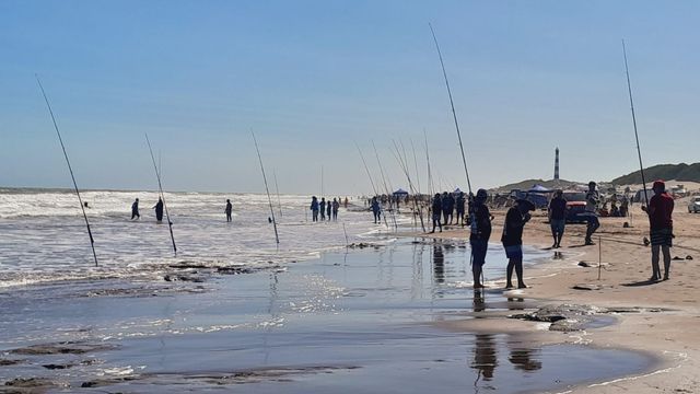 24 Horas de la Corvina Negra