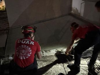 Intentó rescatar a su travieso gato y quedó atrapada en el techo de un edificio en Córdoba