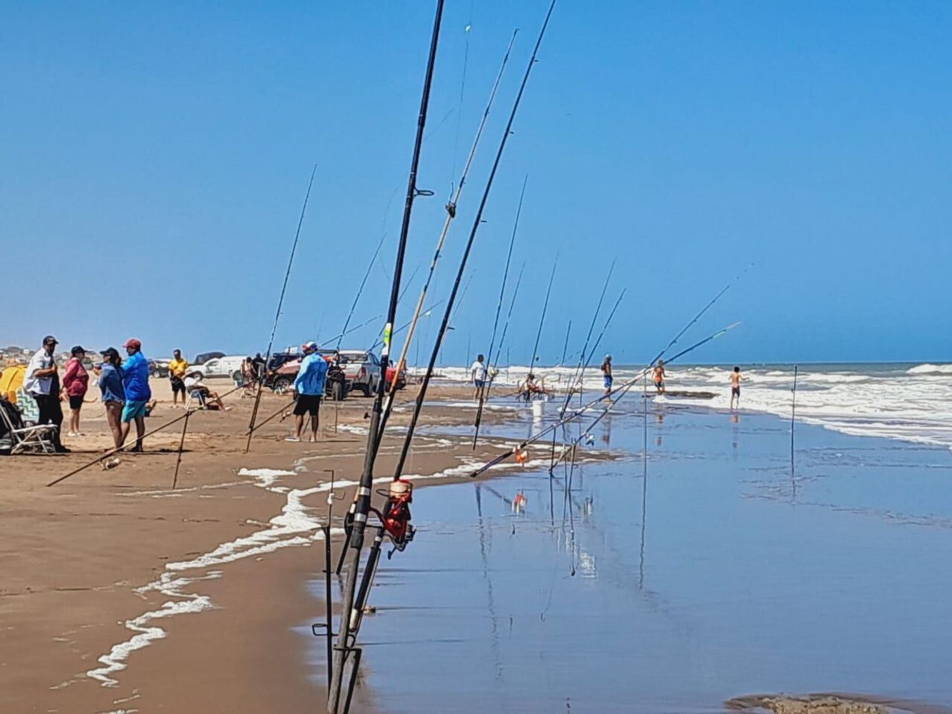 24 Horas de la Corvina Negra