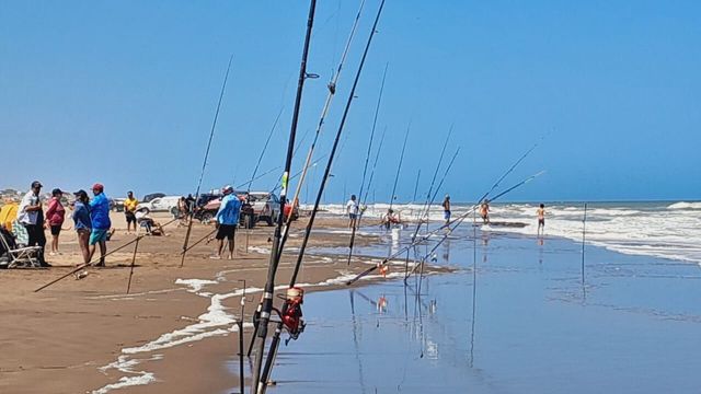 24 Horas de la Corvina Negra