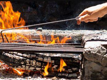 Cómo se pueden reutilizar las cenizas que deja el asado en las plantas de tu jardín