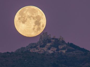 Luna llena en Leo: qué energía trae el 1° de febrero y cómo impacta en cada signo