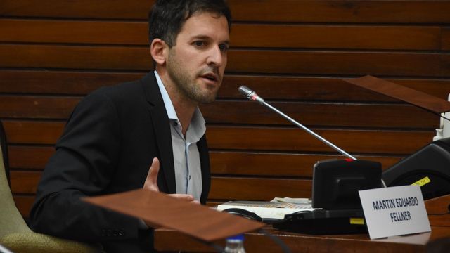 En septiembre de 2025 el diputado Martín Fellner presentó en la Legislatura de Jujuy un proyecto de ley para la realización obligatoria de exámenes toxicológicos para funcionarios de los tres poderes del Estado.