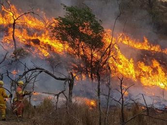 El Gobierno decretó la "Emergencia Ígnea" por la Patagonia: qué significa