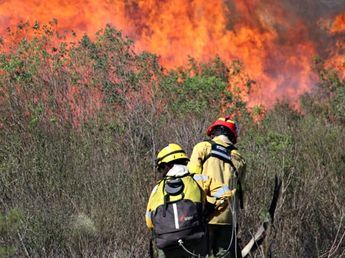 Entre Ríos refuerza el combate del fuego y envía brigadistas a la primera línea