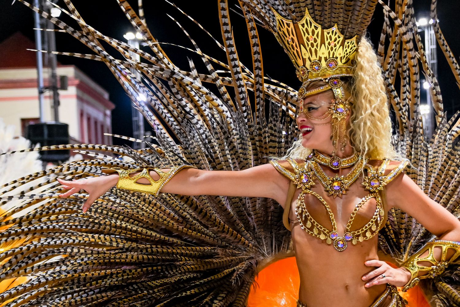 Fiesta Nacional Carnaval del País/Gualeguaychú.
