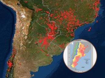 Alerta máxima: hay riesgo extremo de incendios en la provincia