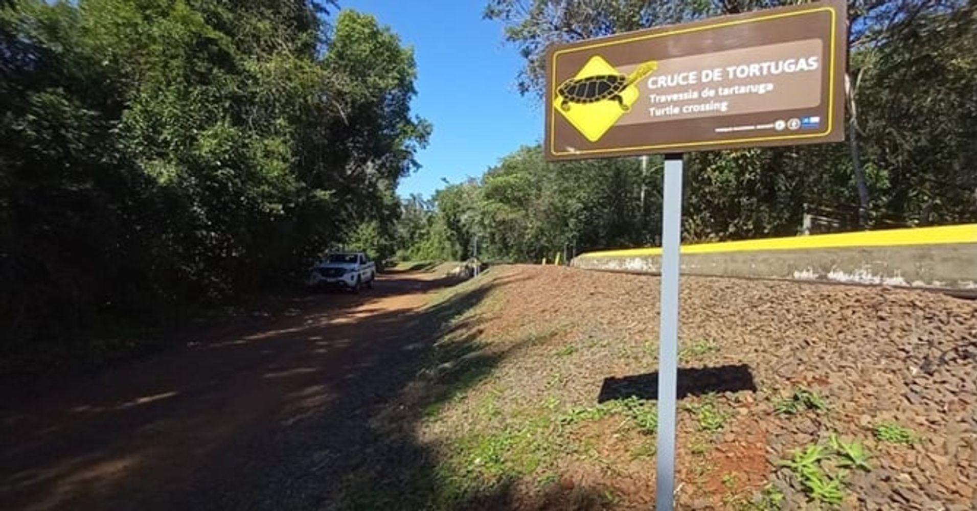 Comenzó la temporada de nacimientos de tortugas en el Parque Nacional Iguazú