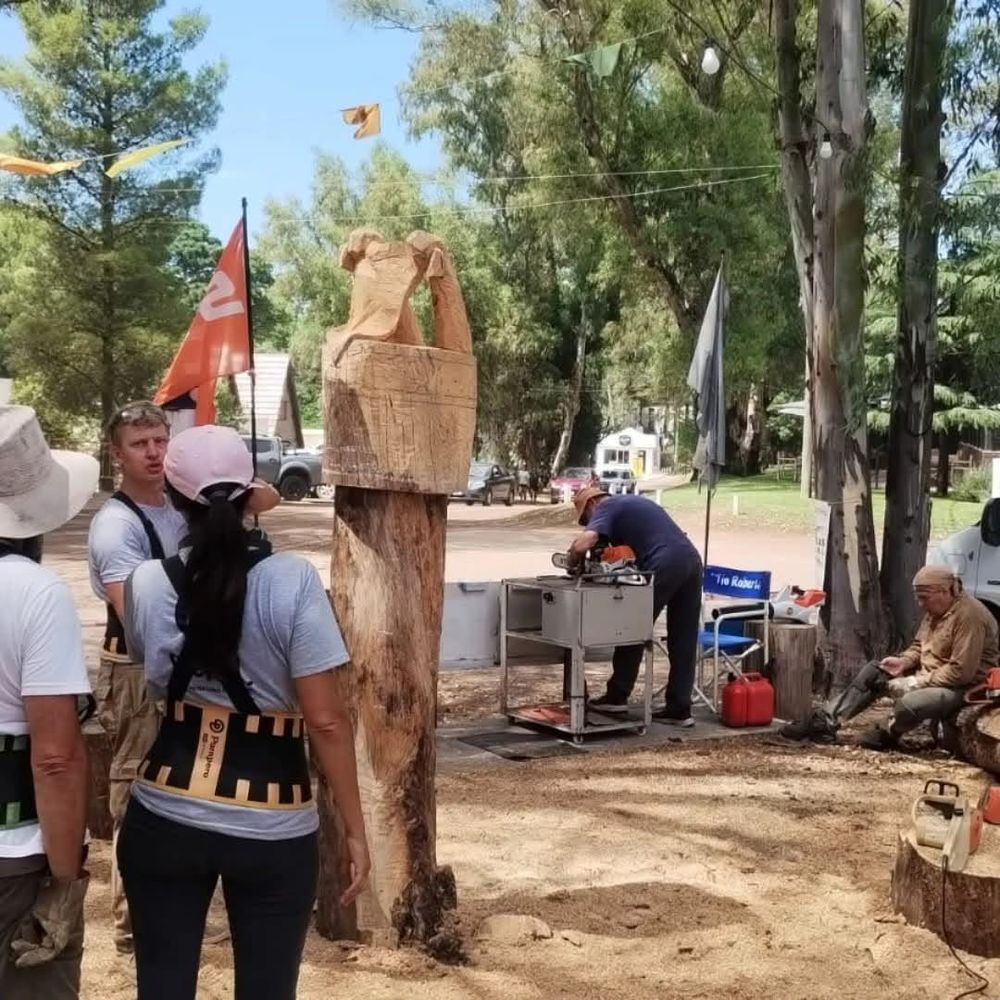 Encuentro Bienal Nacional de Escultura “Tallando Identidad”