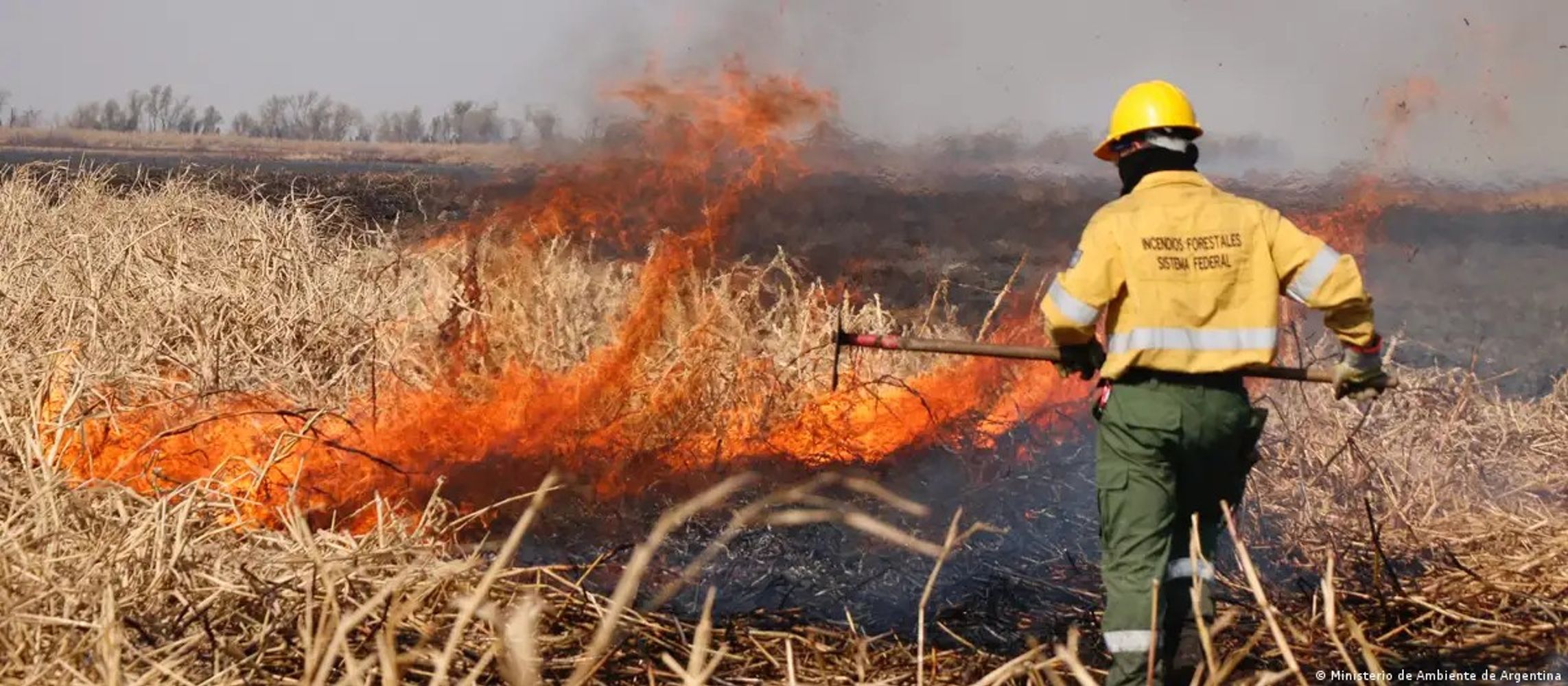 Gentileza- Los humedales del Delta del Paraná en llamas. Foto de otro incendio registrado entre el 2022/2023.