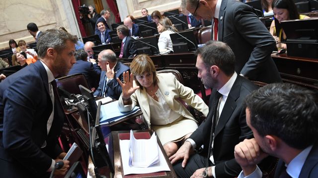 Bullrich en el Senado