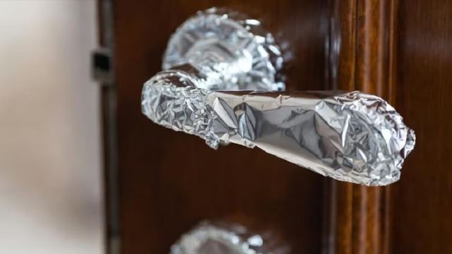 El papel aluminio en picaportes se consolida como un truco eficaz para proteger y mantener el hogar limpio.
