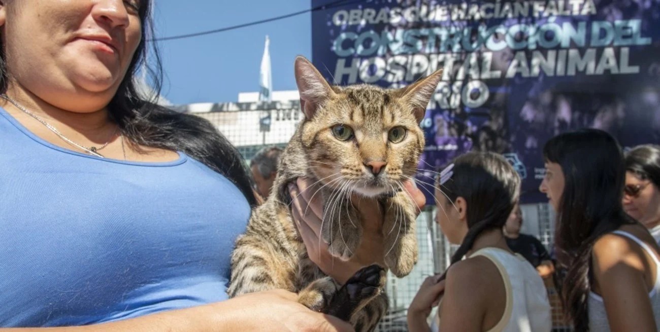 Hospital Veterinario Gratuito en Rosario