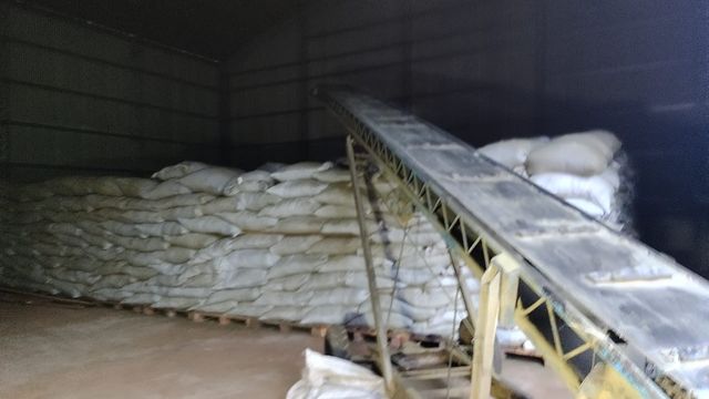 Yerba mate en Misiones: pese a la crisis financiera, 2025 cerró con récord de exportaciones y repunte del consumo.