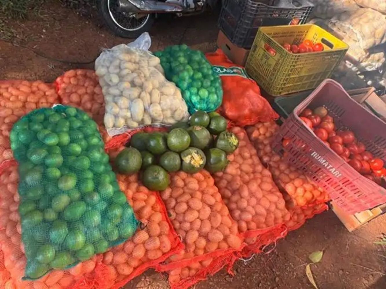 Senasa impidió el ingreso a Misiones de más de 17 toneladas de alimentos sin controles sanitarios.