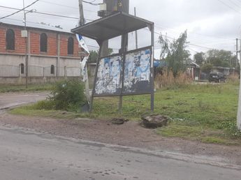 Video: simuló esperar el colectivo y arrastró a una mujer para robarle en La Plata