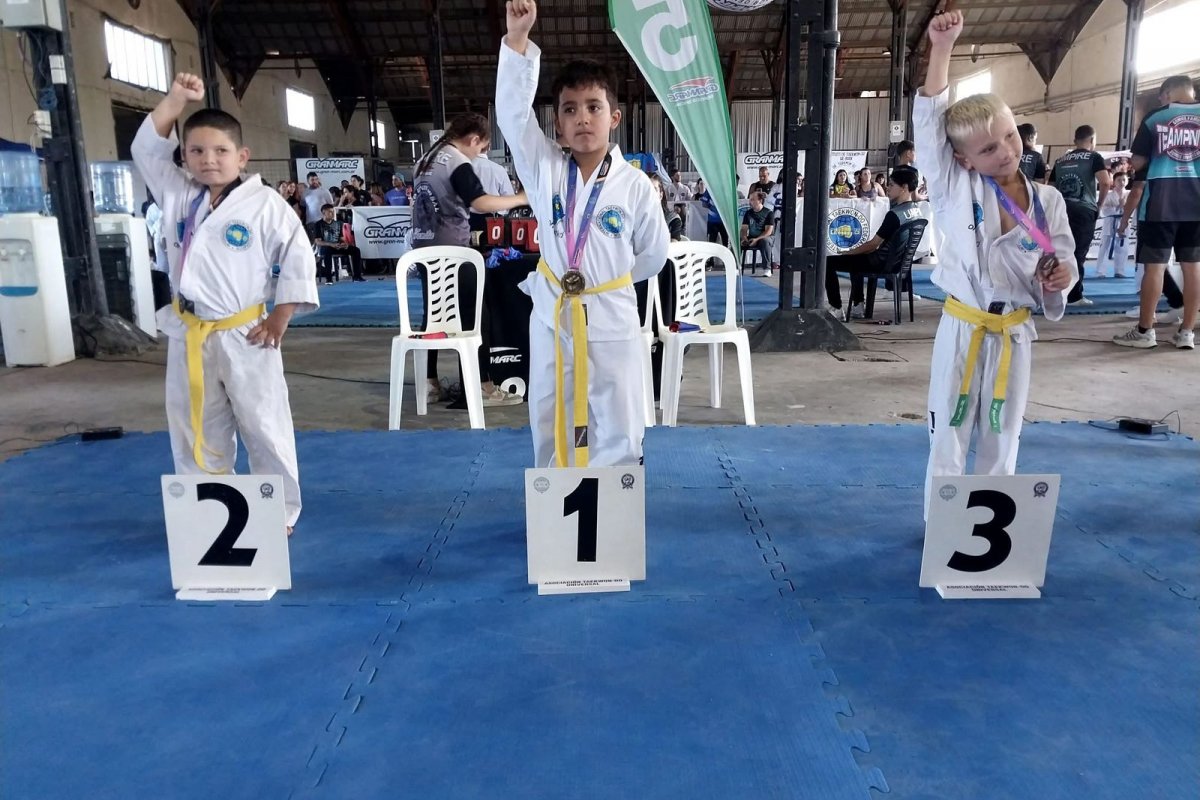 Taekwondo