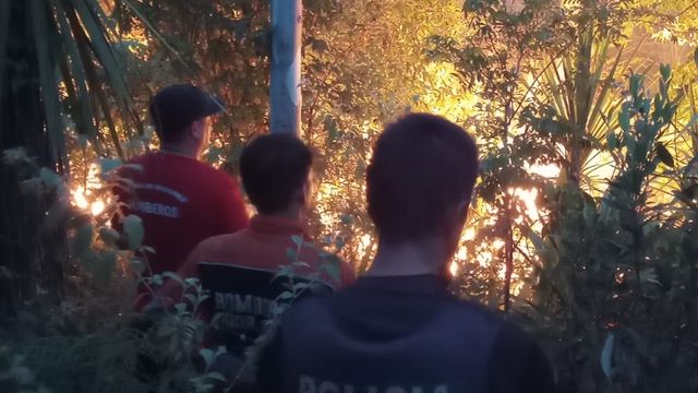 Controlaron un incendio forestal en una plantación de eucaliptos en Santo Pipó.