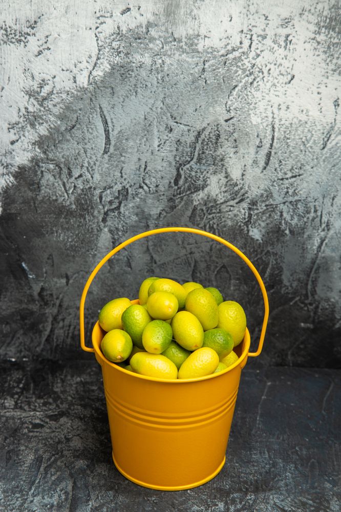 Ubicar el limonero en el jardín del este o en un balcón soleado potencia la circulación del chi y refuerza la vitalidad del espacio.