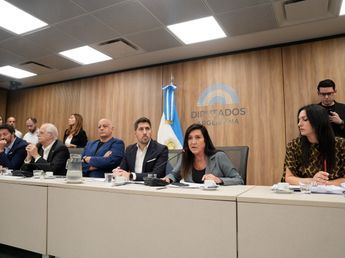 Diputados vota el 12 la Ley Penal Juvenil: las provincias pactarán con Nación los fondos para la implementación