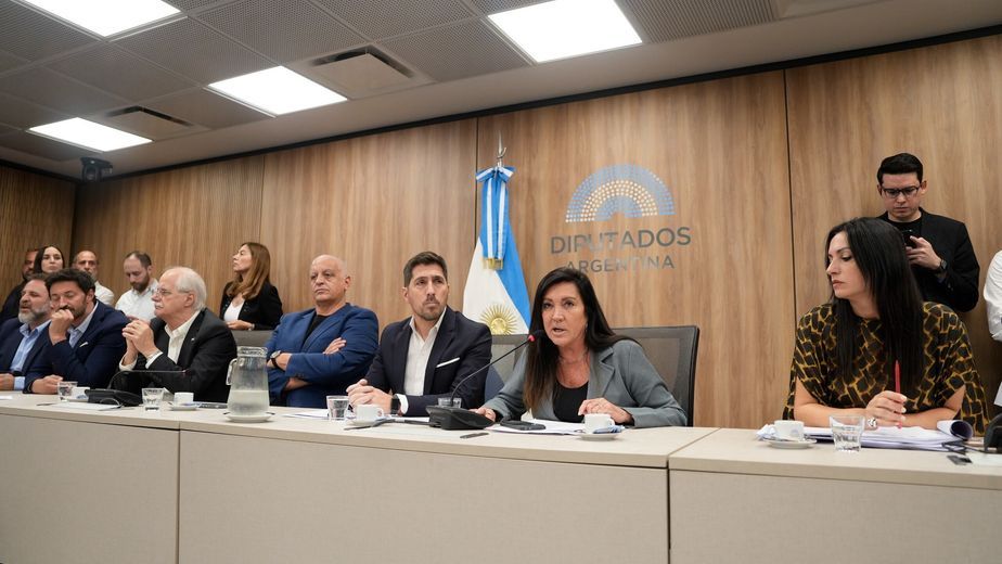 Diputados vota el 12 la Ley Penal Juvenil: las provincias pactarán con Nación los fondos para la implementación