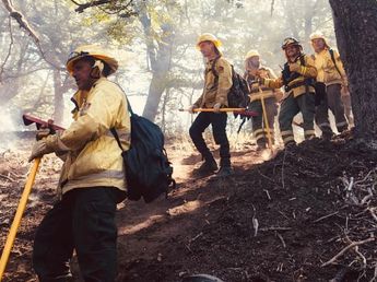 Cuerpo a cuerpo contra el fuego: las impactantes imágenes de los brigadistas de Santa Fe en el sur