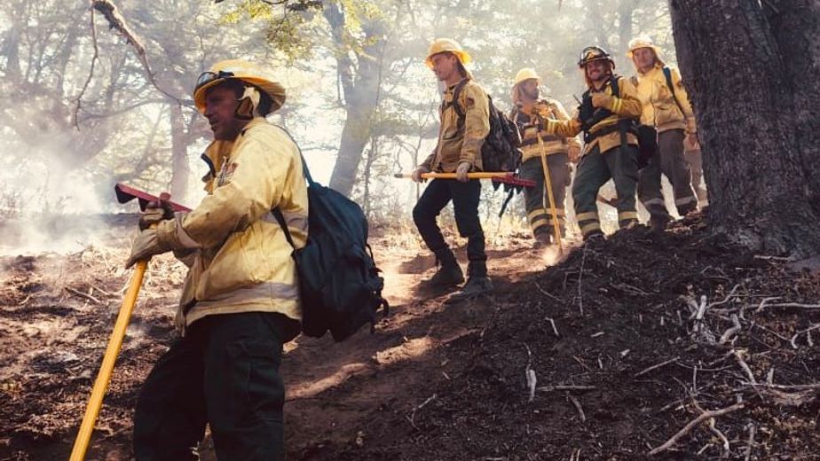 Cuerpo a cuerpo contra el fuego: las impactantes imágenes de los brigadistas de Santa Fe en el sur