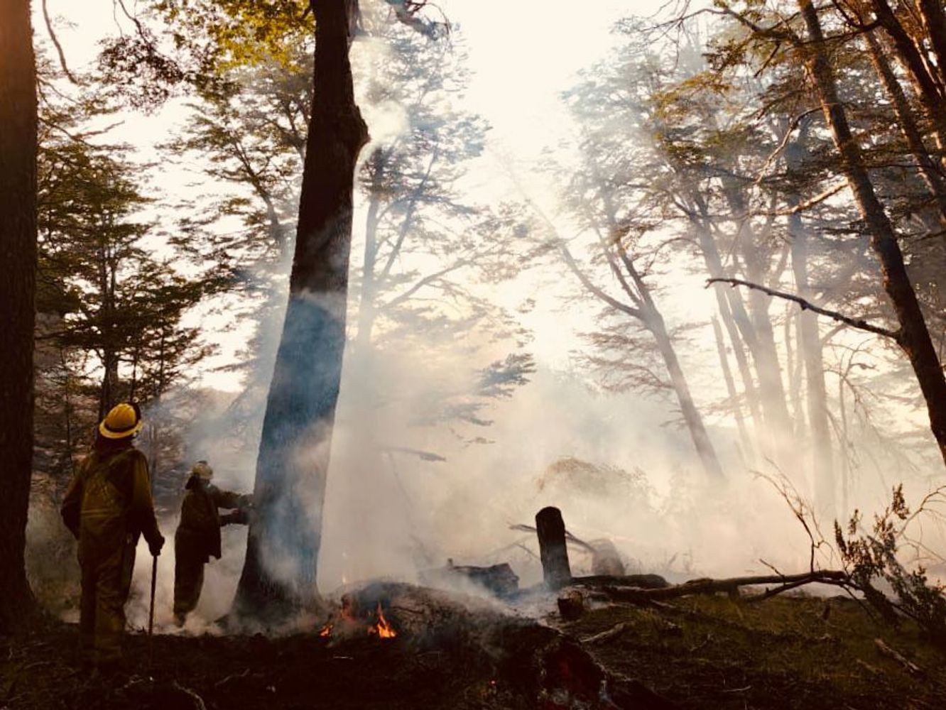 Incendios en Chubut. Brigadistas de Santa Fe, en acción.