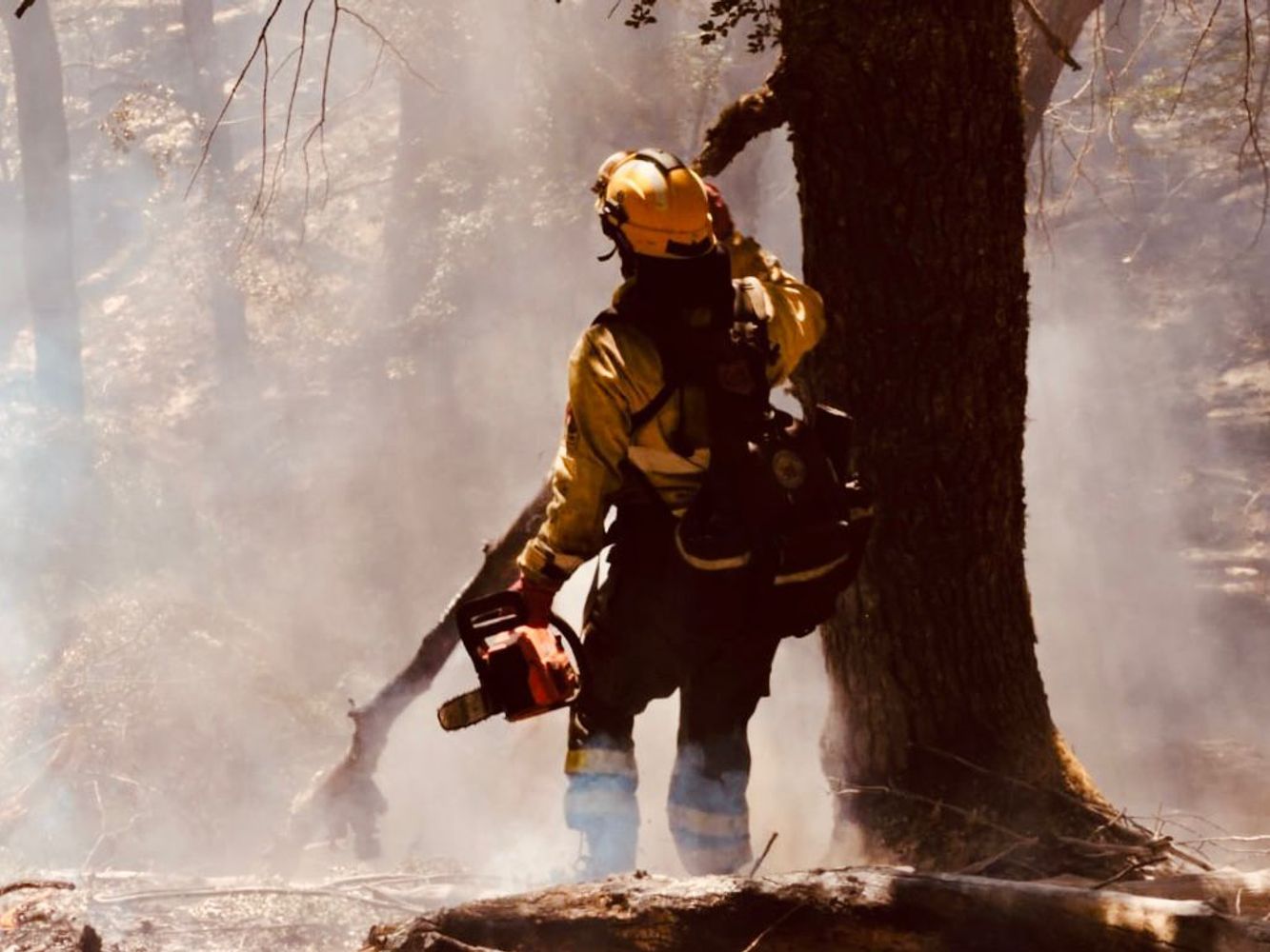 Incendios en Chubut. Brigadistas de Santa Fe, en acción.