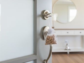 El ritual que deberías hacer a comienzo de mes para atraer abundancia a tu casa: solo requiere 2 elementos