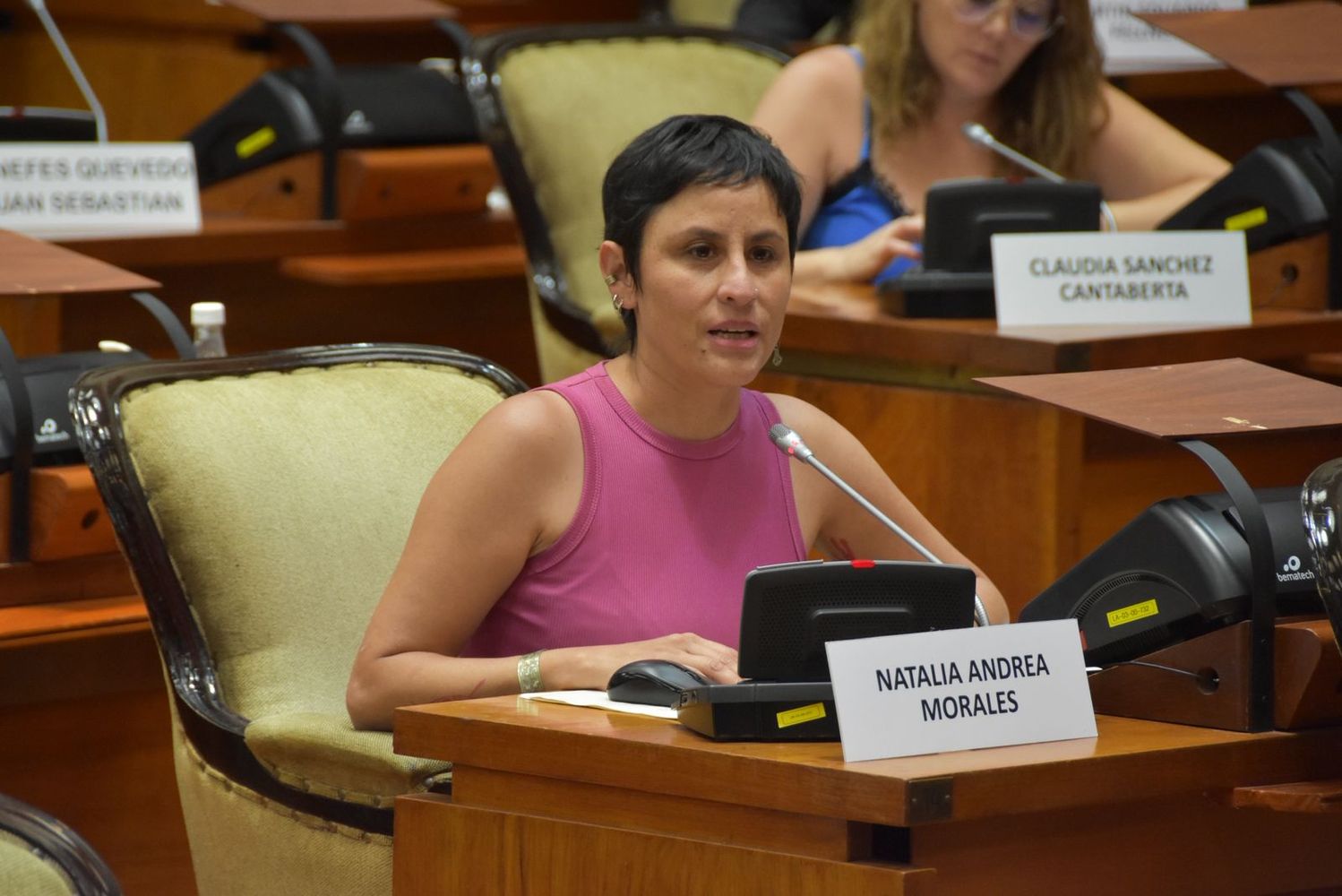 La diputada Natalia Morales es una de las firmantes del proyecto de resolución que la izquierda impulsa en la Legislatura, en busca de un rechazo a la reforma laboral del presidente Milei.