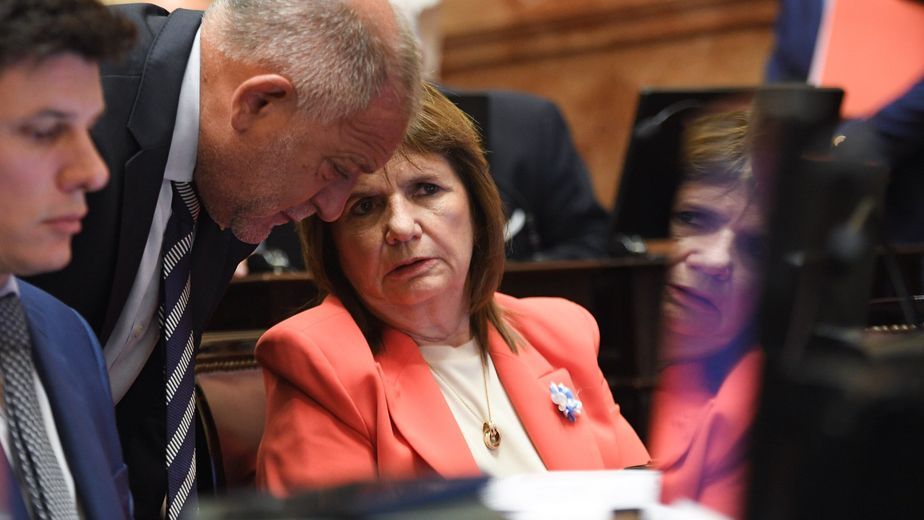 Patricia Bullrich en el Senado