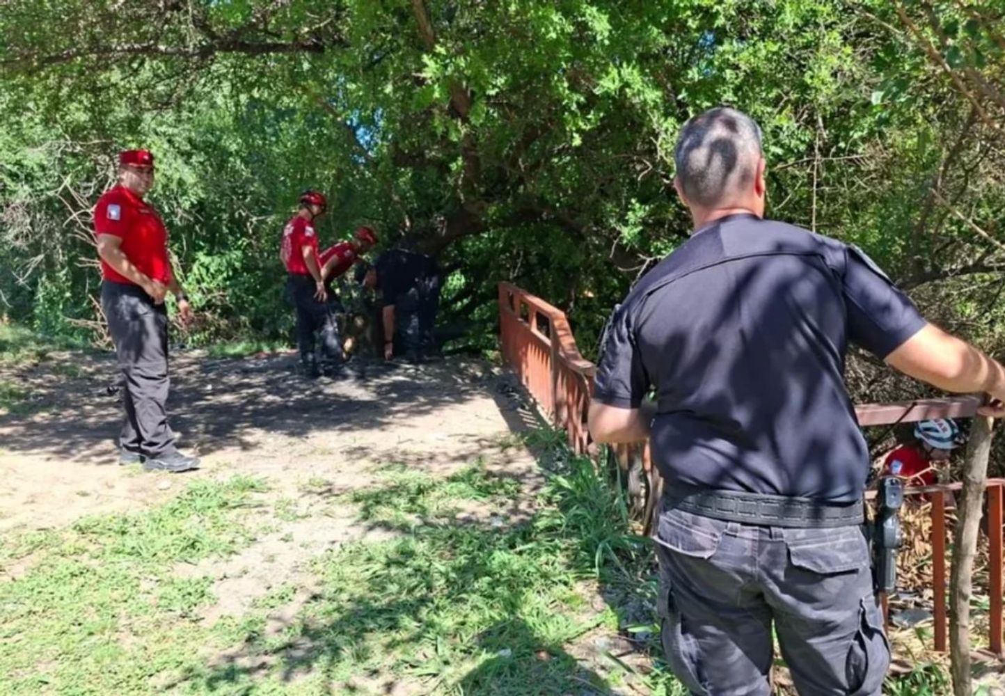 Habló el único detenido por el crimen de Camila Merlo.