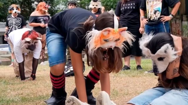 Se juntan los "therians" en Córdoba.