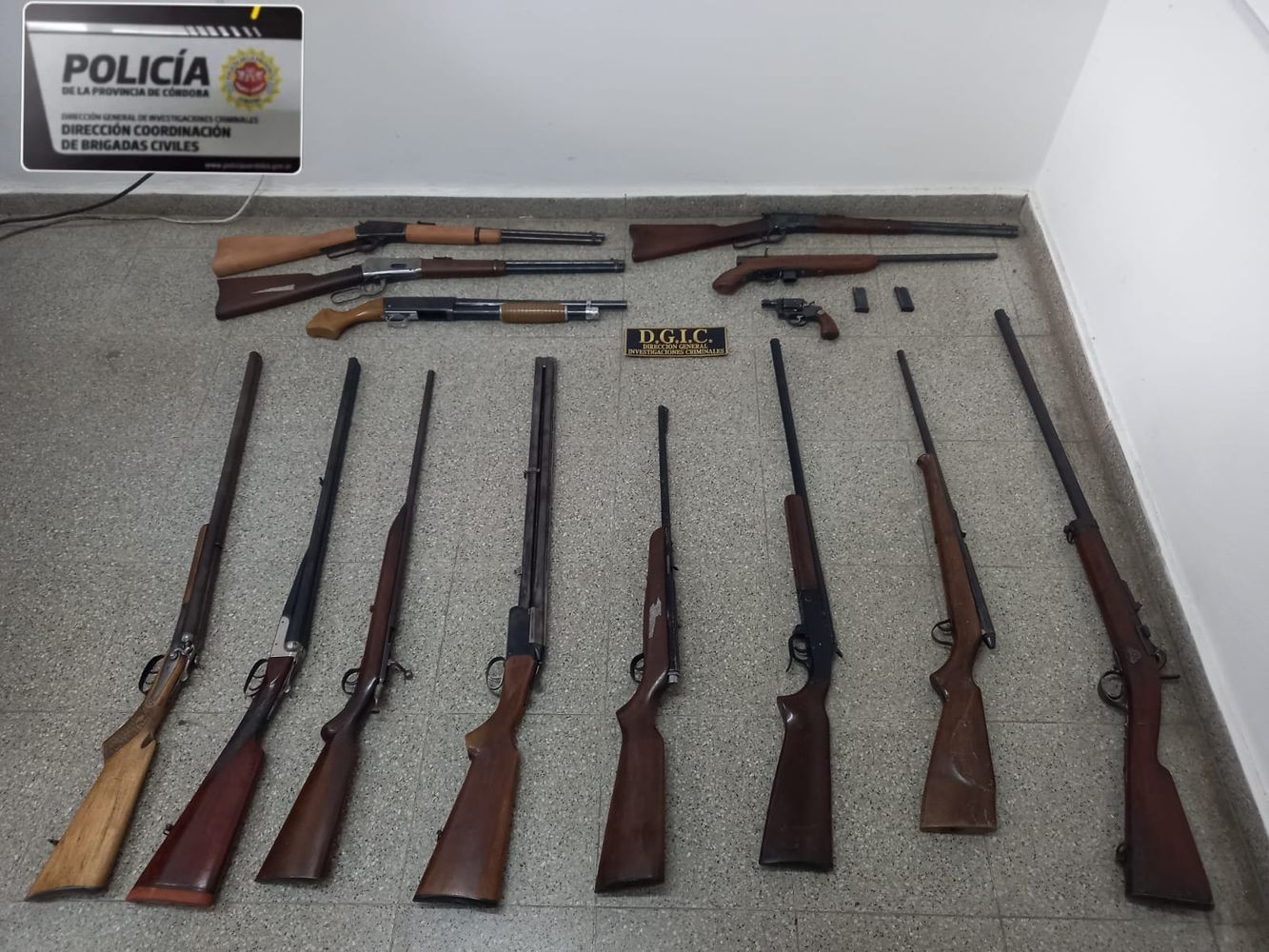 Incautaron seis escopetas, tres fusiles, cuatro carabinas calibre 22, un revólver calibre 38 y dos cargadores.