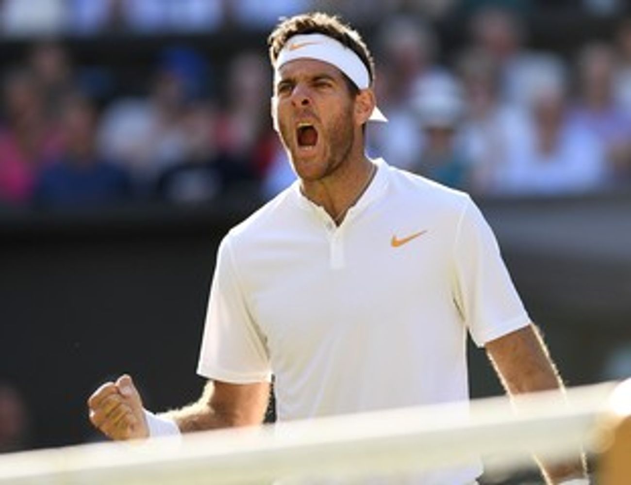 Del Potro.