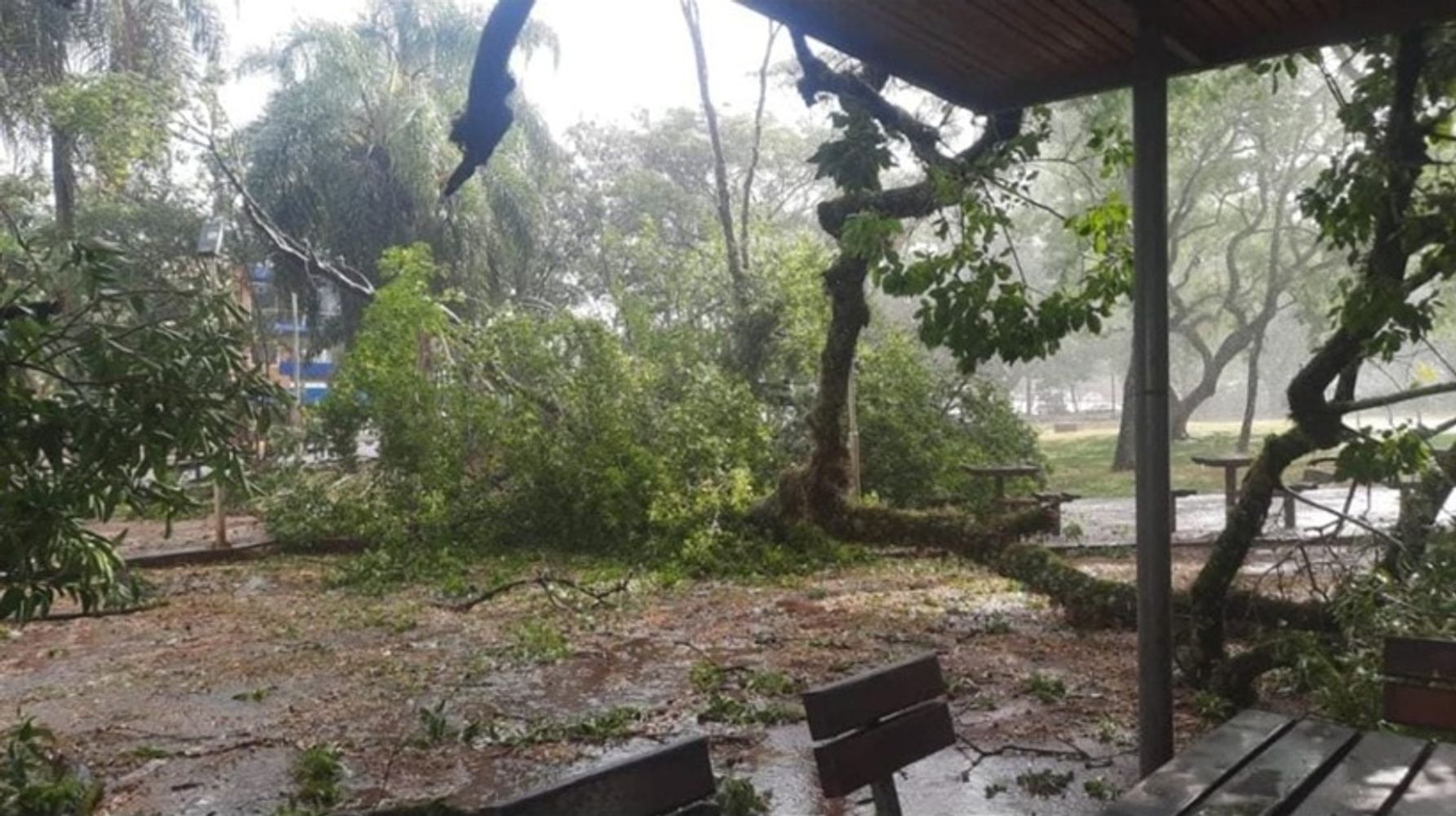 Jardín América: fuertes ráfagas provocaron destrozos, caída de árboles y voladura de techos.